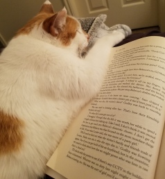 Reading with Tommy